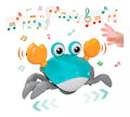 CrabJoy– Caranguejo de Brinquedo – Estimula a Criatividade e a Diversão